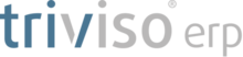 triviso erp